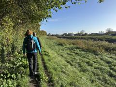 Heading up the western bank of the River Parrett